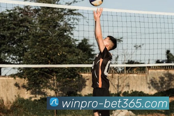 bet365平台生态图